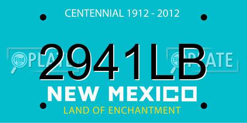2941LB New Mexico License Plate