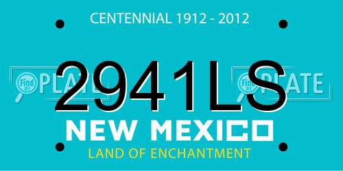 2941LS New Mexico License Plate