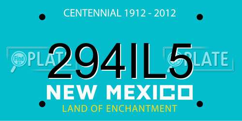 294IL5 New Mexico License Plate
