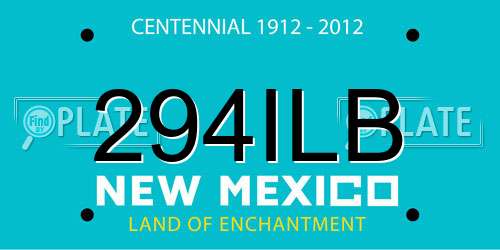 294ILB New Mexico License Plate
