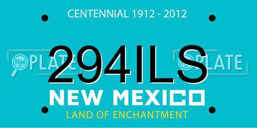 294ILS New Mexico License Plate