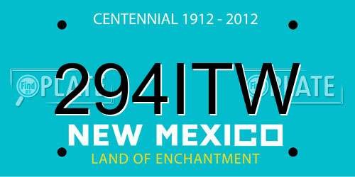 294ITW New Mexico License Plate