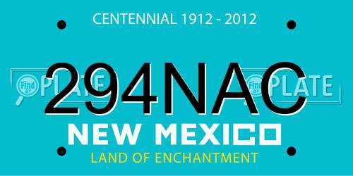 294NAC New Mexico License Plate
