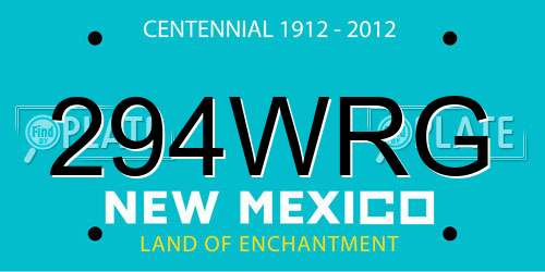 294WRG New Mexico License Plate