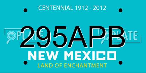 295APB New Mexico License Plate