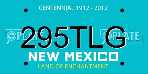295TLG New Mexico License Plate