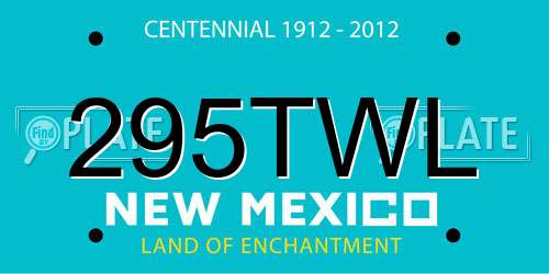 295TWL New Mexico License Plate