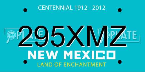 295XMZ New Mexico License Plate