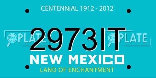 2973IT New Mexico License Plate