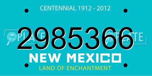 2985366 New Mexico License Plate