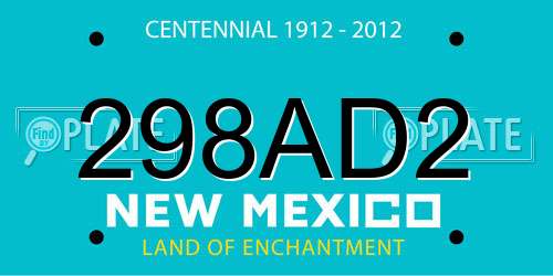 298AD2 New Mexico License Plate