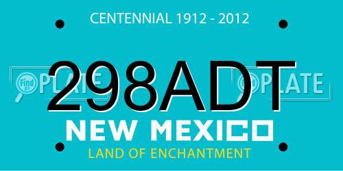 298ADT New Mexico License Plate