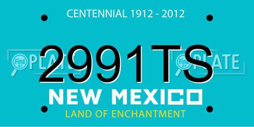 2991TS New Mexico License Plate