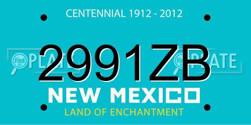 2991ZB New Mexico License Plate