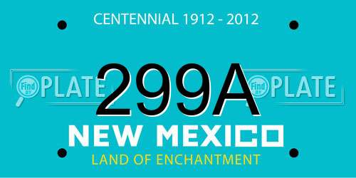 299A New Mexico License Plate