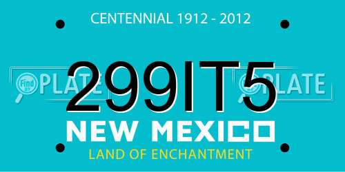 299IT5 New Mexico License Plate