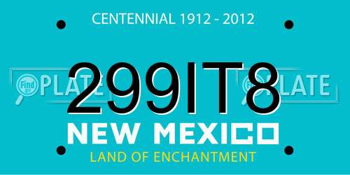 299IT8 New Mexico License Plate