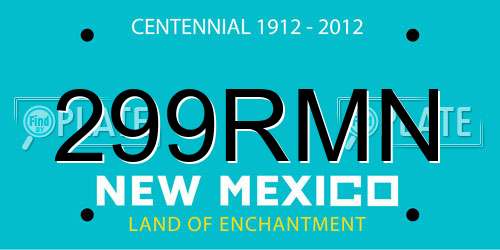 299RMN New Mexico License Plate
