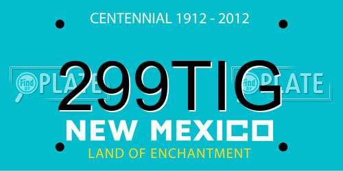 299TIG New Mexico License Plate