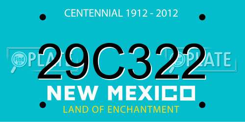 29C322 New Mexico License Plate