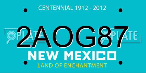 2AOG87 New Mexico License Plate