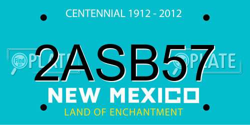 2ASB57 New Mexico License Plate