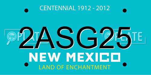 2ASG25 New Mexico License Plate