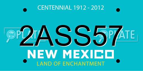 2ASS57 New Mexico License Plate