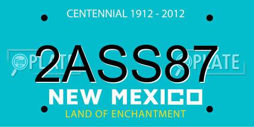 2ASS87 New Mexico License Plate