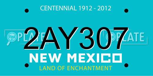 2AY307 New Mexico License Plate
