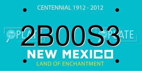 2B00S3 New Mexico License Plate