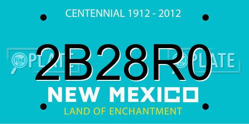 2B28R0 New Mexico License Plate