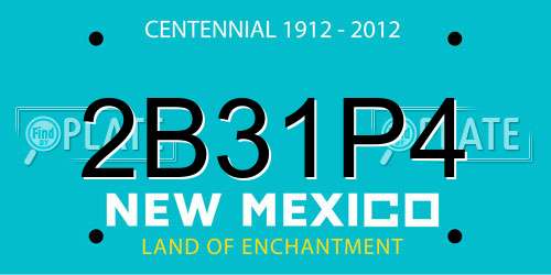 2B31P4 New Mexico License Plate