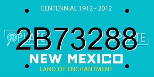 2B73288 New Mexico License Plate