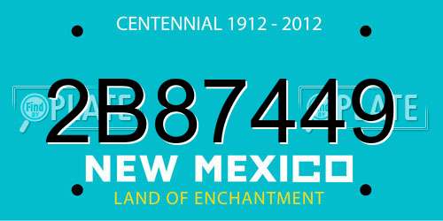 2B87449 New Mexico License Plate