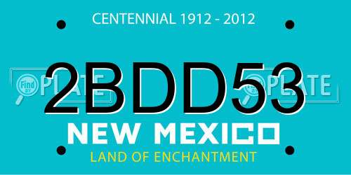 2BDD53 New Mexico License Plate