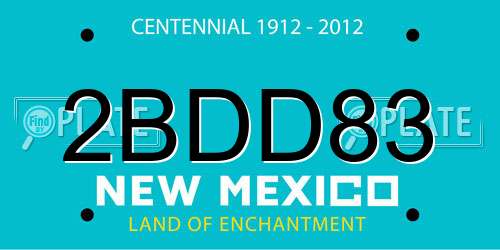 2BDD83 New Mexico License Plate