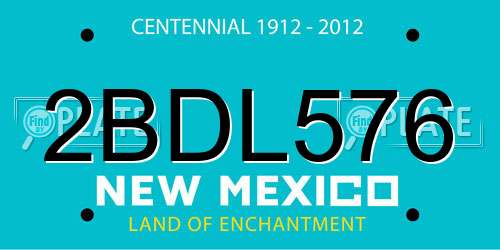 2BDL576 New Mexico License Plate