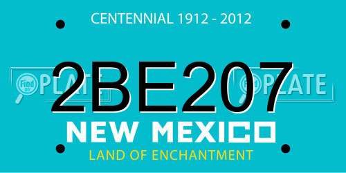 2BE207 New Mexico License Plate