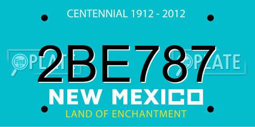 2BE787 New Mexico License Plate