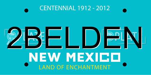 2BELDEN New Mexico License Plate