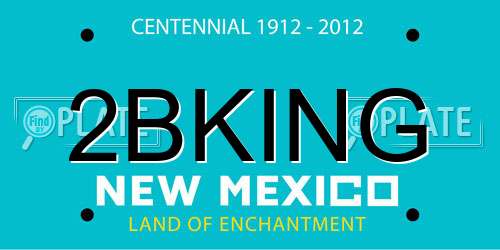 2BKING New Mexico License Plate