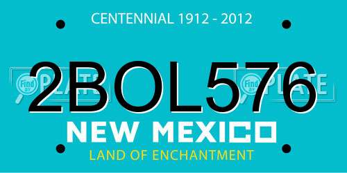 2BOL576 New Mexico License Plate