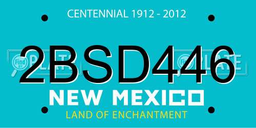 2BSD446 New Mexico License Plate