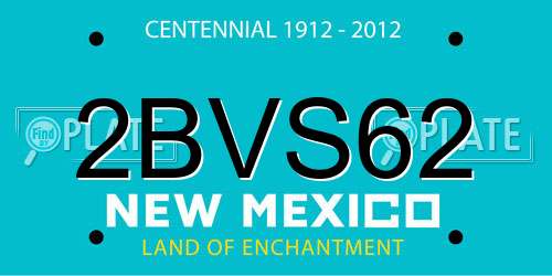 2BVS62 New Mexico License Plate