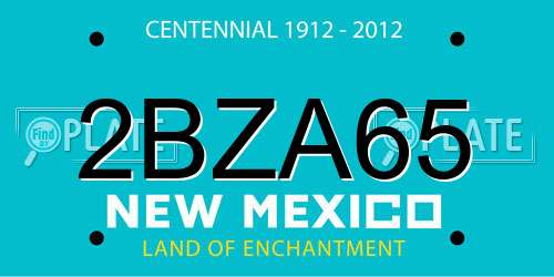 2BZA65 New Mexico License Plate