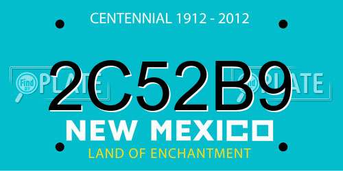 2C52B9 New Mexico License Plate