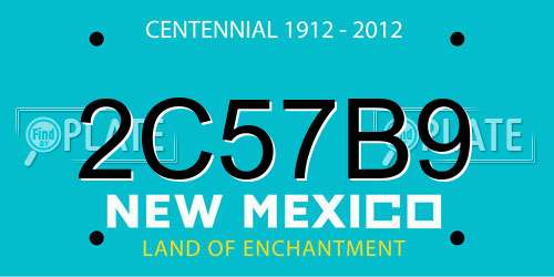 2C57B9 New Mexico License Plate