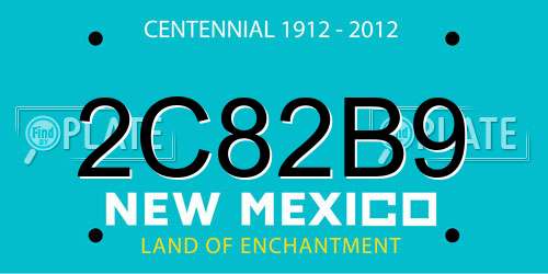 2C82B9 New Mexico License Plate