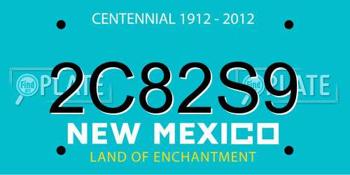 2C82S9 New Mexico License Plate